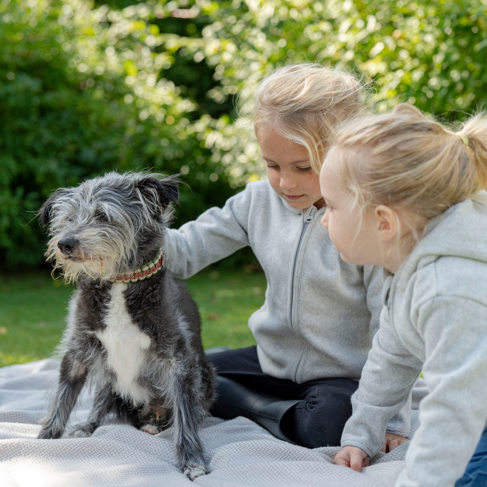 Fleece Jacke (aus Bio-Baumwolle)